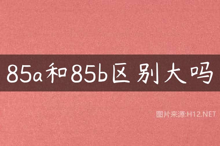 85a和85b区别大吗