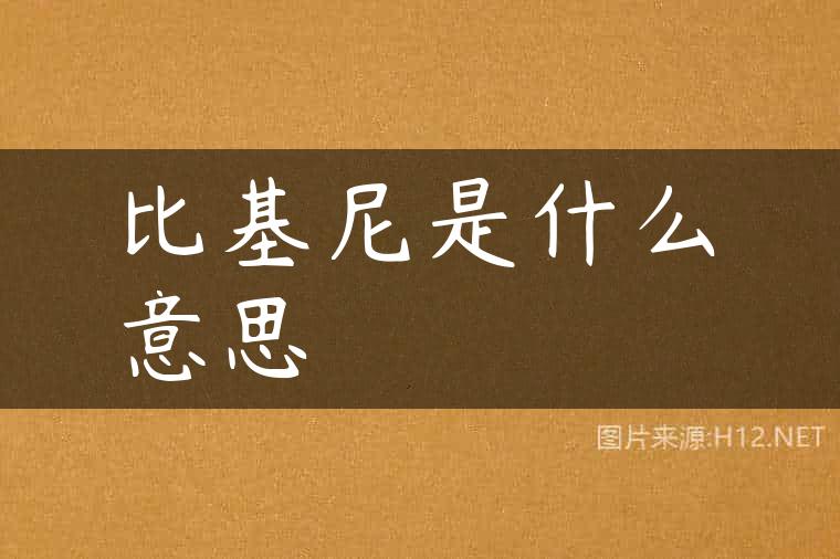 比基尼是什么意思