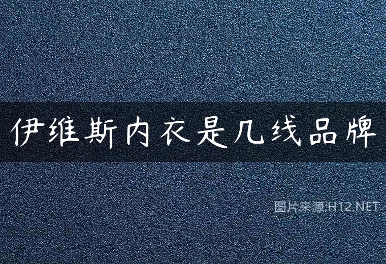 伊维斯内衣是几线品牌