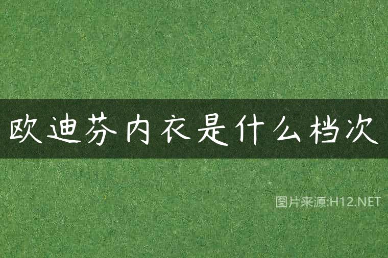 欧迪芬内衣是什么档次