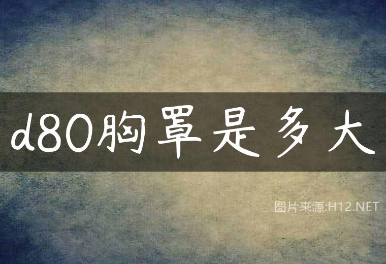 d80胸罩是多大