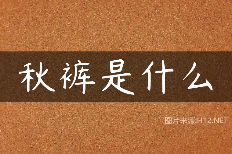 秋裤是什么