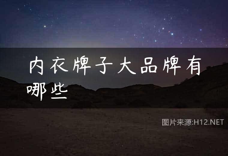 内衣牌子大品牌有哪些