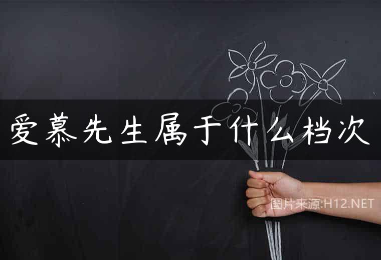 爱慕先生属于什么档次