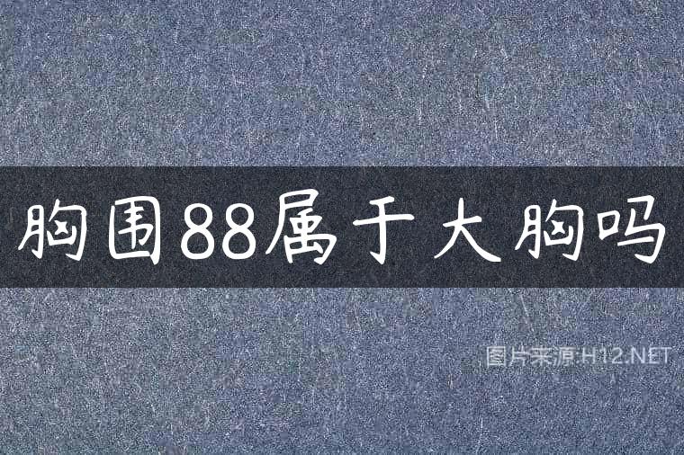 胸围88属于大胸吗