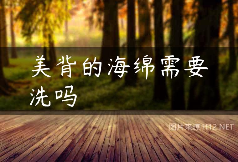 美背的海绵需要洗吗