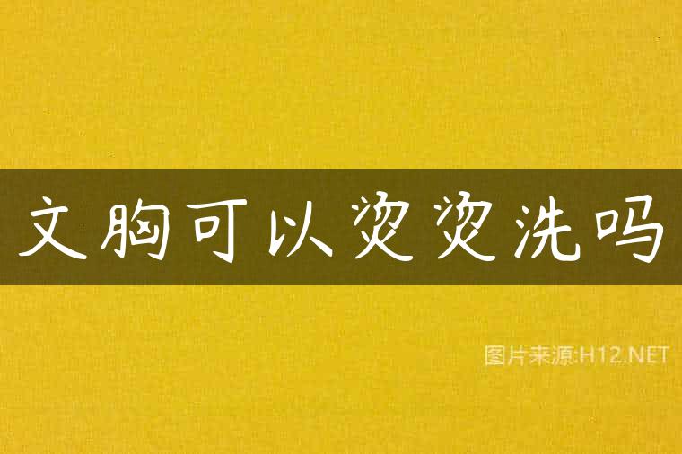 文胸可以烫烫洗吗
