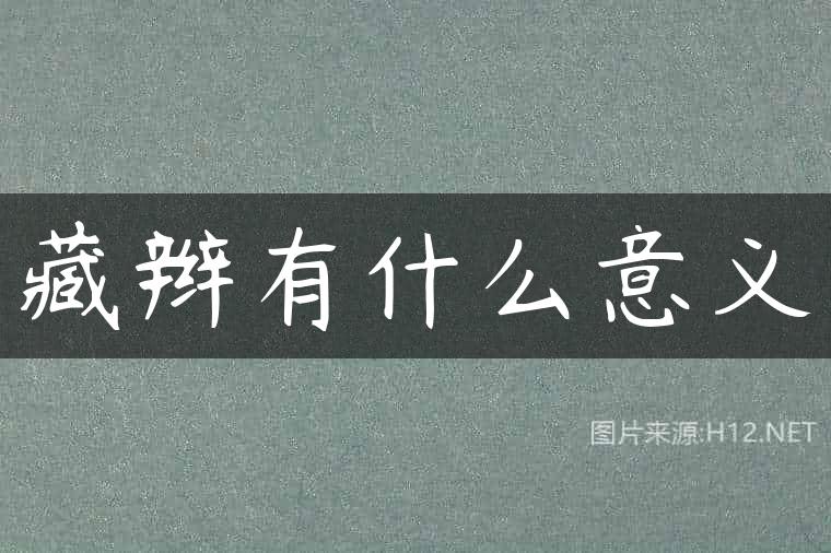 藏辫有什么意义