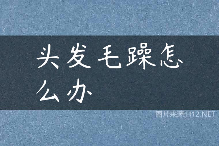 头发毛躁怎么办