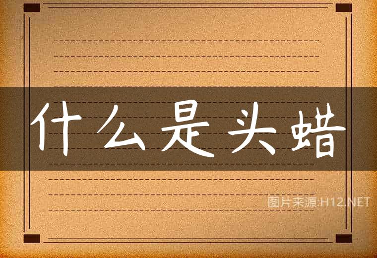 什么是头蜡