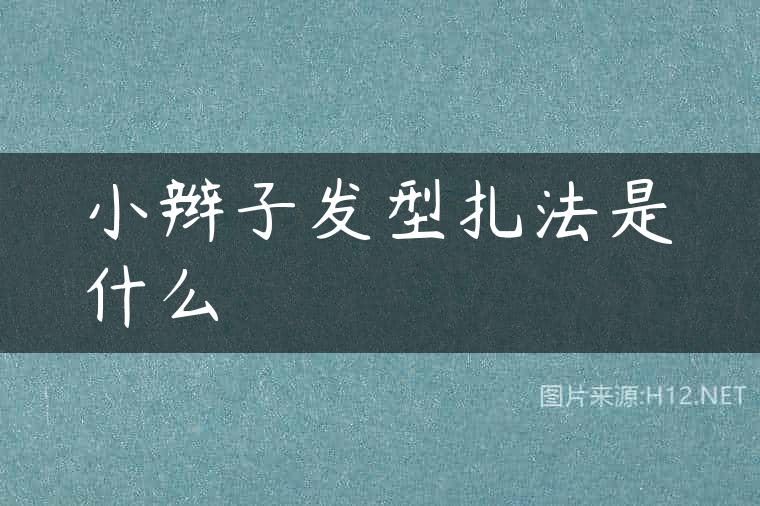 小辫子发型扎法是什么