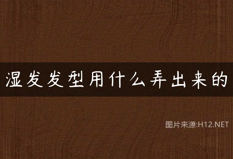 湿发发型用什么弄出来的