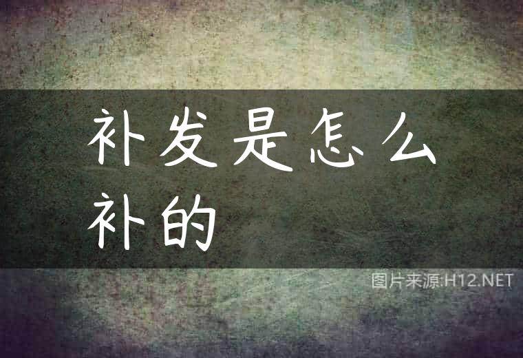补发是怎么补的