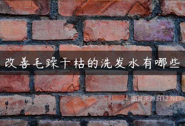 改善毛躁干枯的洗发水有哪些