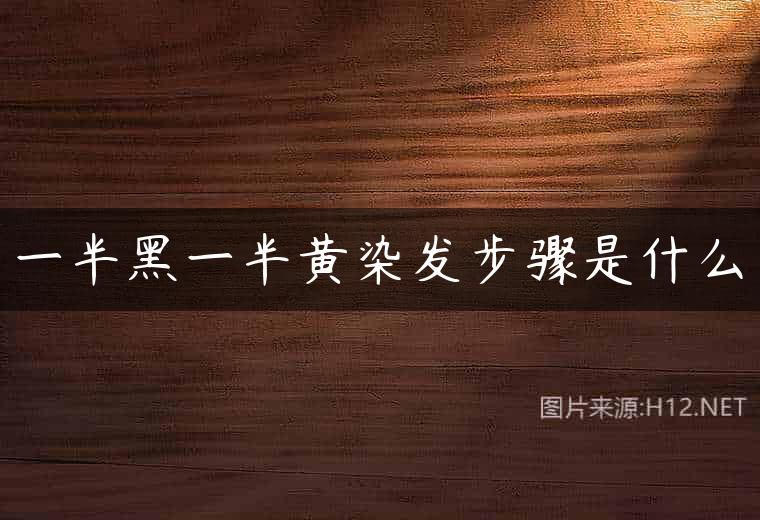 一半黑一半黄染发步骤是什么