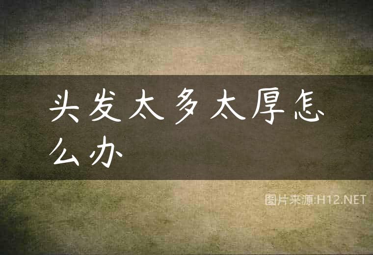 头发太多太厚怎么办