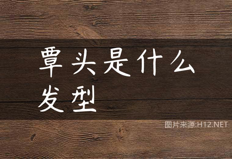 覃头是什么发型