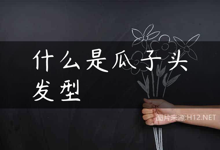 什么是瓜子头发型