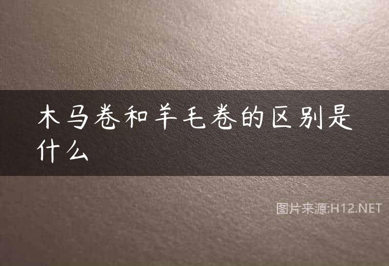木马卷和羊毛卷的区别是什么