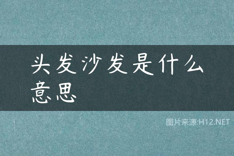 头发沙发是什么意思
