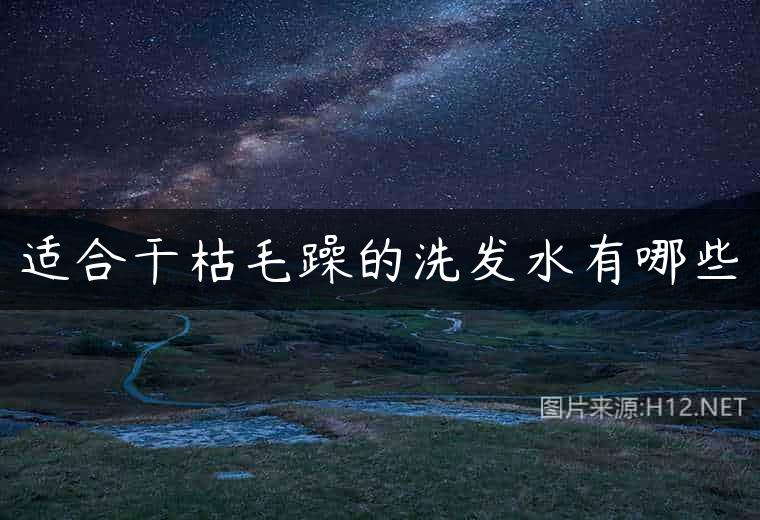适合干枯毛躁的洗发水有哪些