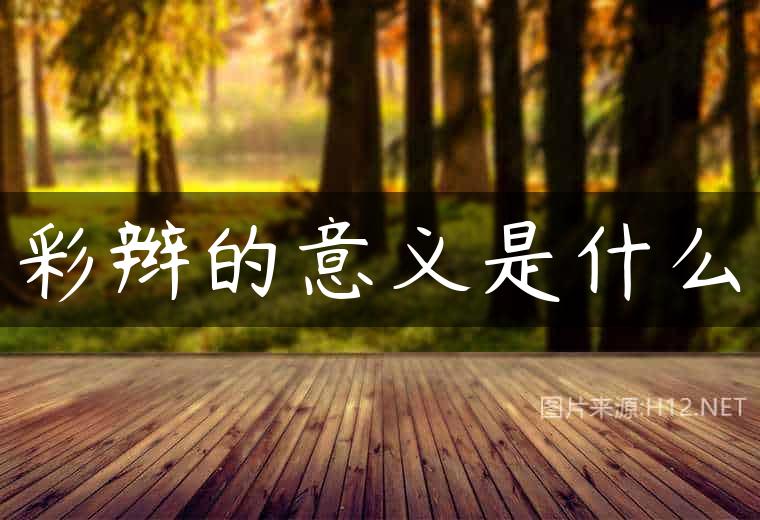 彩辫的意义是什么