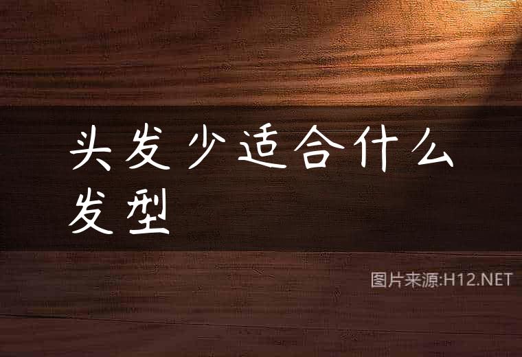 头发少适合什么发型