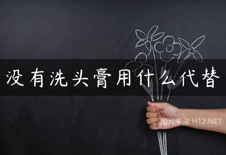 没有洗头膏用什么代替