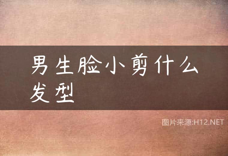 男生脸小剪什么发型