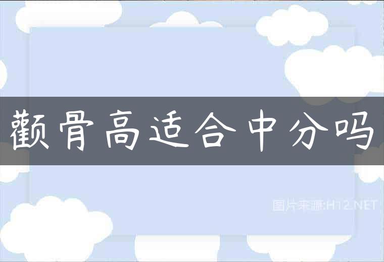 颧骨高适合中分吗