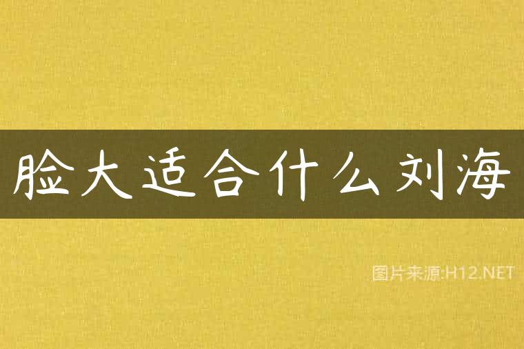 脸大适合什么刘海