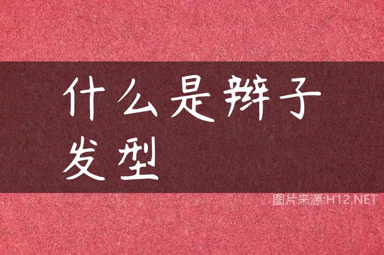 什么是辫子发型