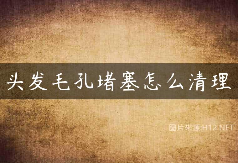 头发毛孔堵塞怎么清理