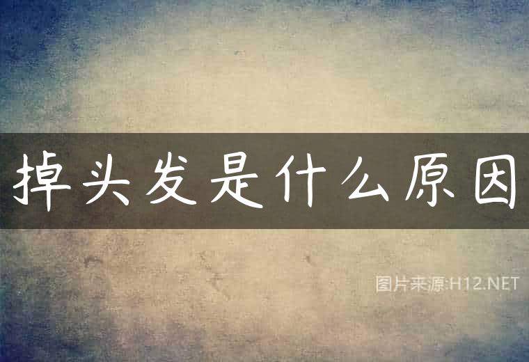 掉头发是什么原因