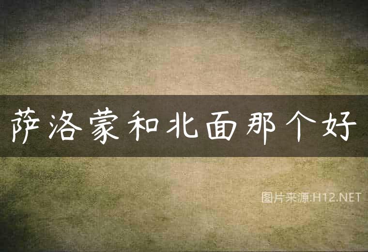 萨洛蒙和北面那个好