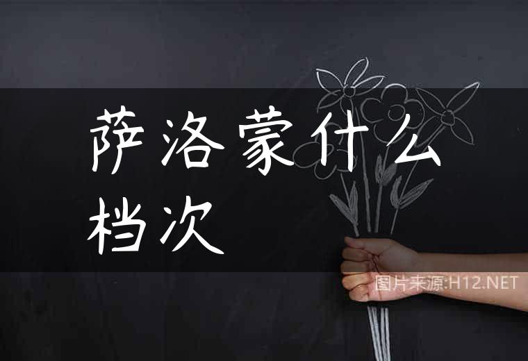 萨洛蒙什么档次