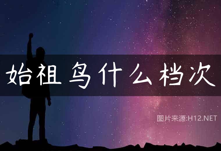 始祖鸟什么档次
