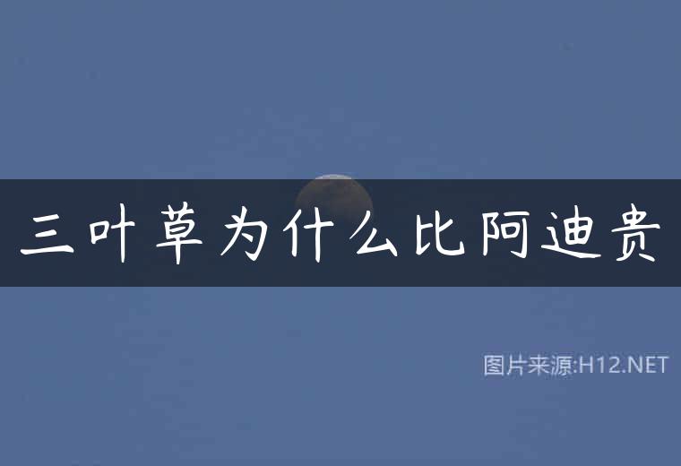 三叶草为什么比阿迪贵
