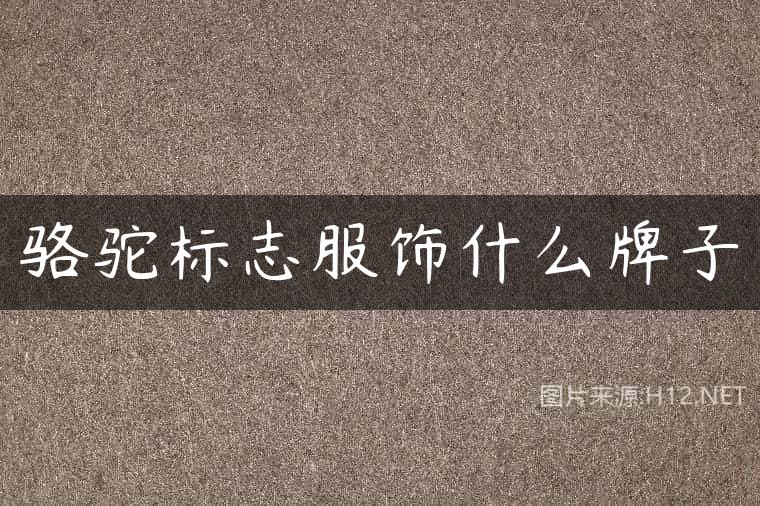 骆驼标志服饰什么牌子