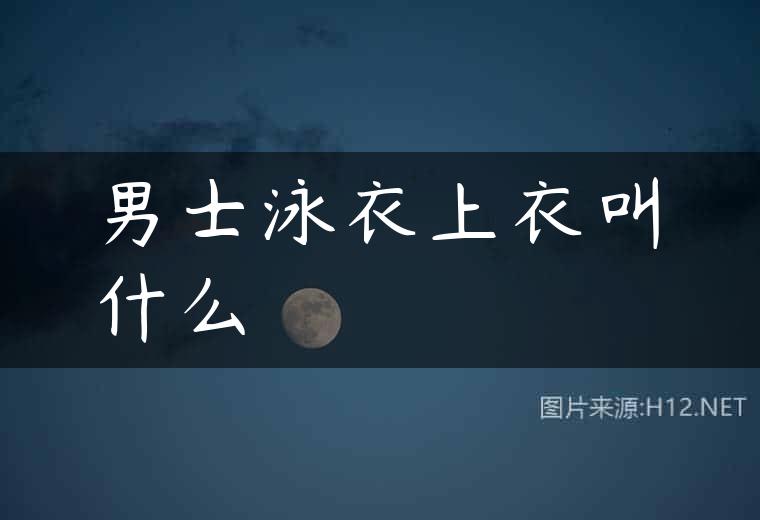 男士泳衣上衣叫什么