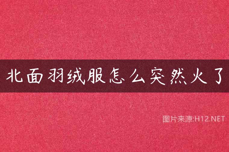 北面羽绒服怎么突然火了