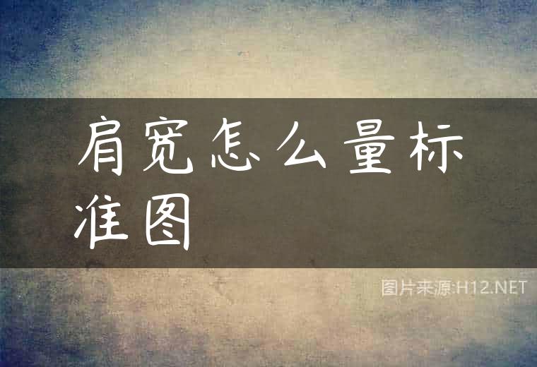 肩宽怎么量标准图