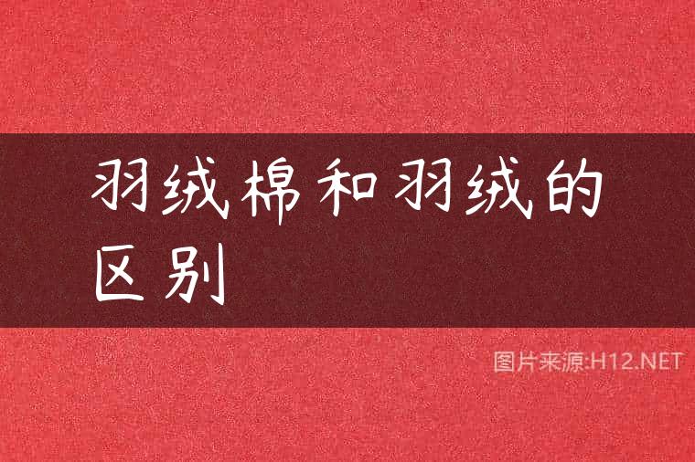 羽绒棉和羽绒的区别