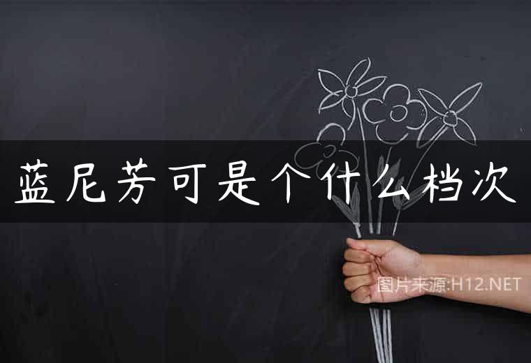 蓝尼芳可是个什么档次