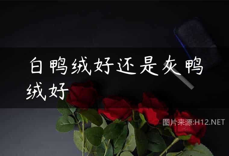 白鸭绒好还是灰鸭绒好
