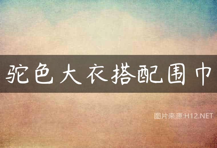 驼色大衣搭配围巾