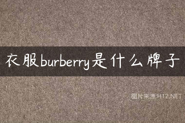 衣服burberry是什么牌子