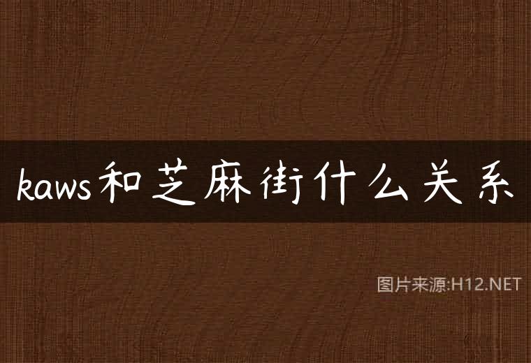 kaws和芝麻街什么关系