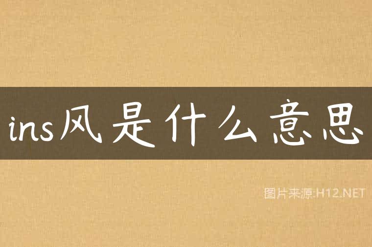 ins风是什么意思