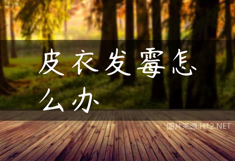 皮衣发霉怎么办